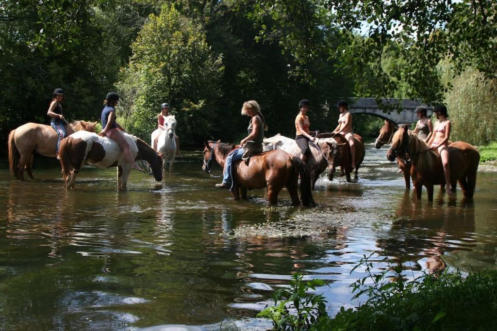 Serenite A La Ferme Equestre Lempzours Exteriér fotografie